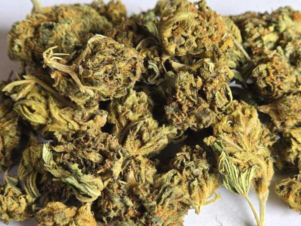 Tangarine 20% CBD flower 1g - Image 2