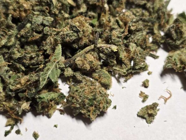 CBD drť 1g - Image 3