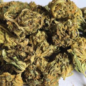 Tangarine 20% CBD flower 1g