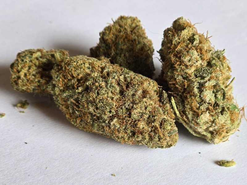 Mimosa CBD 1g – Obrázok 4