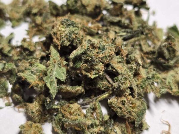 CBD drť 1g - Image 2