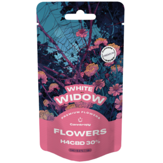 Canntropy H4CBD flower White Widow 30%